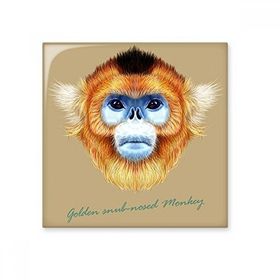 Dıythinker Golden Snub Burunlu Maymun Hayvan Seramik Biske Fayans 20x20 cm Seramik Karo