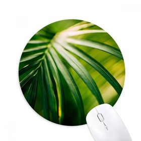 Dıythinker Güneş Işığı Yaprağı Bitki Doğa Fotoğrafçılığı Baskılı Yuvarlak Kaymaz Kauçuk Mouse Pad