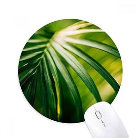 Dıythinker Güneş Işığı Yaprağı Bitki Doğa Fotoğrafçılığı Baskılı Yuvarlak Kaymaz Kauçuk Mouse Pad