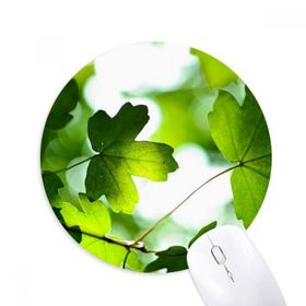 Dıythinker Güneş Işığı Yaprağı Bitki Resmi Doğa Baskılı Yuvarlak Kaymaz Kauçuk Mouse Pad