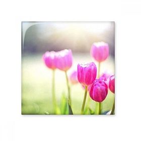 Dıythinker Güzel Güneş Işığı Çiçekler Kırmızı Yeşil Seramik Biski Fayans 10x10 cm Seramik Karo