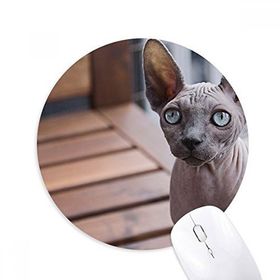 Dıythinker Hayvan Büyük Kulak Kedi Fotoğraf Çekimi Baskılı Yuvarlak Kaymaz Kauçuk Mouse Pad