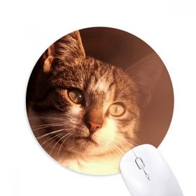 Dıythinker Hayvan Duygusal Kedi Simpol Shoot Baskılı Yuvarlak Kaymaz Kauçuk Mouse Pad