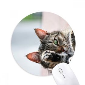 Dıythinker Hayvan Etkinliği Kedi Fotoğrafı Resim Baskılı Yuvarlak Kaymaz Kauçuk Mouse Pad