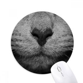 Dıythinker Hayvan Kedi Fotoğraf Çekimi Resim Baskılı Yuvarlak Kaymaz Kauçuk Mouse Pad