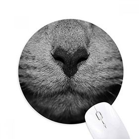 Dıythinker Hayvan Kedi Fotoğraf Çekimi Resim Baskılı Yuvarlak Kaymaz Kauçuk Mouse Pad