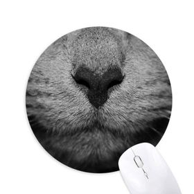 Dıythinker Hayvan Kedi Fotoğraf Çekimi Resim Baskılı Yuvarlak Kaymaz Kauçuk Mouse Pad