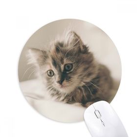 Dıythinker Hayvan Kedi Gri Kedi Fotoğrafı Baskılı Yuvarlak Kaymaz Kauçuk Mouse Pad