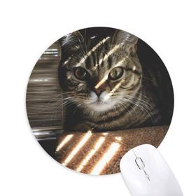 Dıythinker Hayvan Kedi Işını Fotoğraf Çekimi Baskılı Yuvarlak Kaymaz Kauçuk Mouse Pad