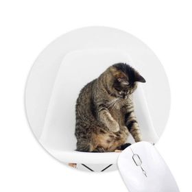 Dıythinker Hayvan Komik Aksiyon Kedi Çekimi Baskılı Yuvarlak Kaymaz Kauçuk Mouse Pad