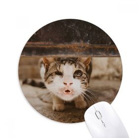 Dıythinker Hayvan Komik Kedi Fotoğraf Çekimi Baskılı Yuvarlak Kaymaz Kauçuk Mouse Pad