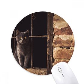 Dıythinker Hayvan Köşe Kedi Fotoğraf Resim Baskılı Yuvarlak Kaymaz Kauçuk Mouse Pad