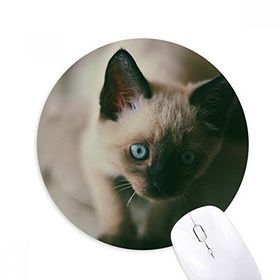 Dıythinker Hayvan Mavi Gözlü Kedi Grisi Fotoğraf Baskılı Yuvarlak Kaymaz Kauçuk Mouse Pad