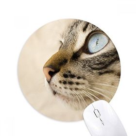 Dıythinker Hayvan Mavi Gözlü Kedi Grisi Fotoğraf Baskılı Yuvarlak Kaymaz Kauçuk Mouse Pad