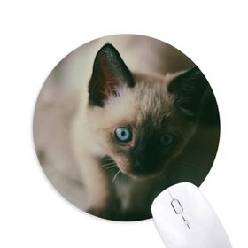 Dıythinker Hayvan Mavi Gözlü Kedi Grisi Fotoğraf Baskılı Yuvarlak Kaymaz Kauçuk Mouse Pad