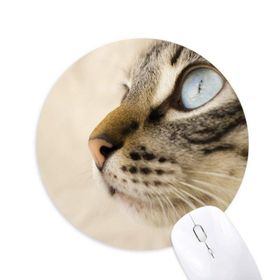 Dıythinker Hayvan Mavi Gözlü Kedi Grisi Fotoğraf Baskılı Yuvarlak Kaymaz Kauçuk Mouse Pad
