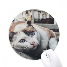 Dıythinker Hayvan Renkli Kedi Fotoğrafı Resim Baskılı Yuvarlak Kaymaz Kauçuk Mouse Pad
