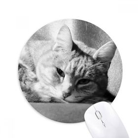 Dıythinker Hayvan Saf Gri Kedi Fotoğraf Resim Baskılı Yuvarlak Kaymaz Kauçuk Mouse Pad