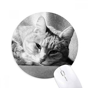 Dıythinker Hayvan Saf Gri Kedi Fotoğraf Resim Baskılı Yuvarlak Kaymaz Kauçuk Mouse Pad