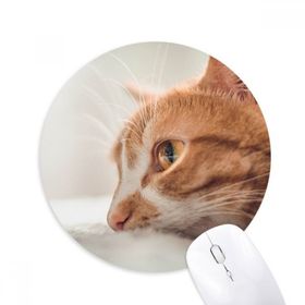 Dıythinker Hayvan Saf Kedi Fotoğraf Resim Baskılı Yuvarlak Kaymaz Kauçuk Mouse Pad