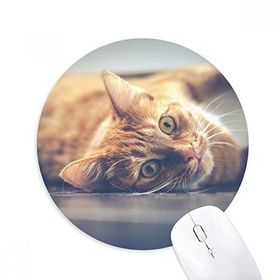 Dıythinker Hayvan Sarı Kedi Fotoğraf Resim Baskılı Yuvarlak Kaymaz Kauçuk Mouse Pad