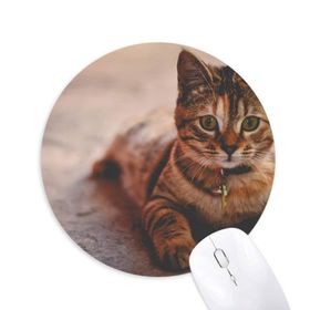 Dıythinker Hayvan Sessiz Kedi Fotoğrafı Baskılı Yuvarlak Kaymaz Kauçuk Mouse Pad