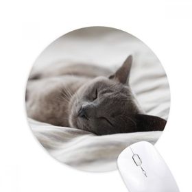 Dıythinker Hayvan Sevimli Gri Kedi Fotoğraf Çekimi Baskılı Yuvarlak Kaymaz Kauçuk Mouse Pad