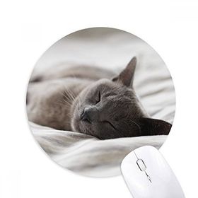 Dıythinker Hayvan Sevimli Gri Kedi Fotoğraf Çekimi Baskılı Yuvarlak Kaymaz Kauçuk Mouse Pad