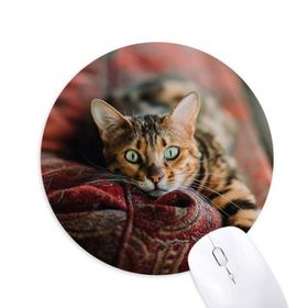 Dıythinker Hayvan Yeşil Gözlü Kedi Fotoğrafı Baskılı Yuvarlak Kaymaz Kauçuk Mouse Pad