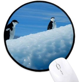 Dıythinker İki Antarktika Penguenler Bilim Doğa Resim Yuvarlak Kaymaz Mouse Pad