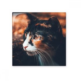 Dıythinker Kahverengi Kedi Görüntüsü Profil Hayvan Vintage 15x15 cm Seramik Karo