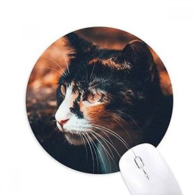 Dıythinker Kahverengi Kedi Stare Profil Hayvan Vintage Baskılı Yuvarlak Kaymaz Kauçuk Mouse Pad