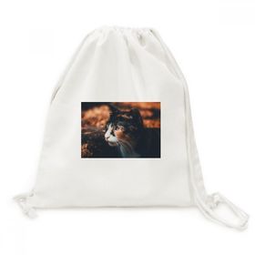 Dıythinker Kahverengi Kedi Stare Profil Hayvan Vintage Kanvas İpli Sırt Çantası