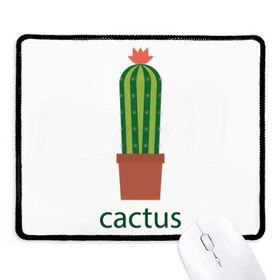 Dıythinker Kaktüs Saksı Bitki Yeşil Succulents Kaymaz Siyah Başlıklı Kenarlar