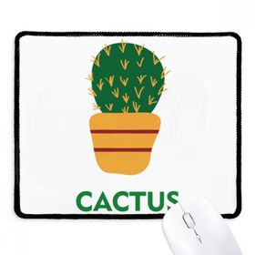 Dıythinker Kaktüs Saksı Bitki Yeşil Succulents Kaymaz Siyah Başlıklı Kenarlar