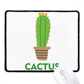 Dıythinker Kaktüs Saksı Bitki Yeşil Succulents Kaymaz Siyah Başlıklı Kenarlar