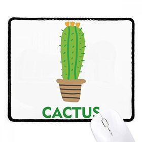 Dıythinker Kaktüs Saksı Bitki Yeşil Succulents Kaymaz Siyah Başlıklı Kenarlar