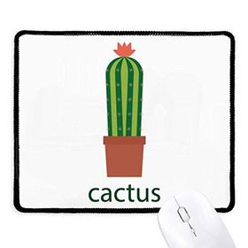 Dıythinker Kaktüs Saksı Bitki Yeşil Succulents Kaymaz Siyah Başlıklı Kenarlar