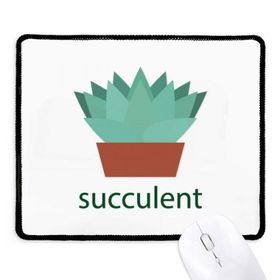 Dıythinker Kaktüs Saksısı Yeşil Bitki Succulents Kaymaz Siyah Başlıklı Kenarlar