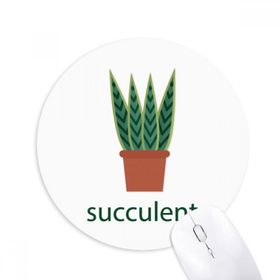 Dıythinker Kaktüs Yeşil Saksı Bitki Succulents Baskılı Yuvarlak Kaymaz Kauçuk Mouse Pad
