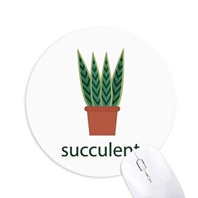 Dıythinker Kaktüs Yeşil Saksı Bitki Succulents Baskılı Yuvarlak Kaymaz Kauçuk Mouse Pad