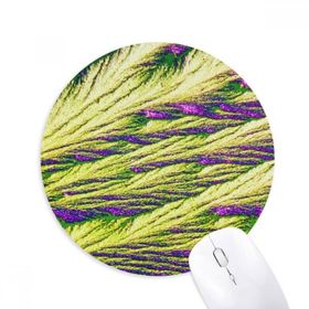 Dıythinker Kamış Kümesi Tüy Renkli Duvar Kağıdı Baskılı Yuvarlak Kaymaz Kauçuk Mouse Pad