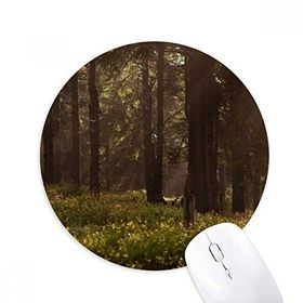 Dıythinker Kara Orman Bilim Doğa Manzarası Baskılı Yuvarlak Kaymaz Kauçuk Mouse Pad