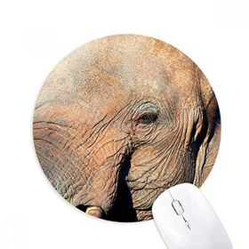 Dıythinker Karasal Organizma Fil Vahşi Hayvan Baskılı Yuvarlak Kaymaz Kauçuk Mouse Pad