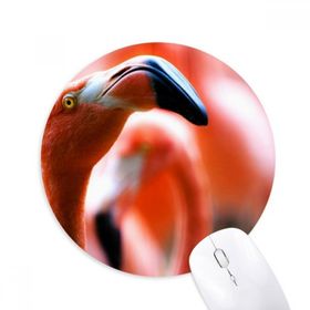 Dıythinker Karasal Organizma Flamingo Vahşi Hayvan Baskılı Yuvarlak Kaymaz Kauçuk Mouse Pad