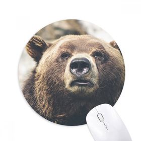 Dıythinker Karasal Organizma Vahşi Hayvan Ayısı Baskılı Yuvarlak Kaymaz Kauçuk Mouse Pad