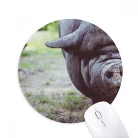 Dıythinker Karasal Organizma Vahşi Hayvan Fotoğrafçılığı Baskılı Yuvarlak Kaymaz Kauçuk Mouse Pad