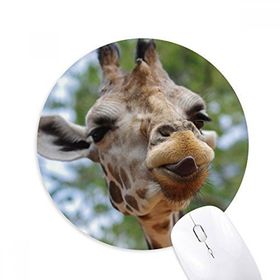 Dıythinker Karasal Organizma Vahşi Hayvan Geyik Baskılı Yuvarlak Kaymaz Kauçuk Mouse Pad