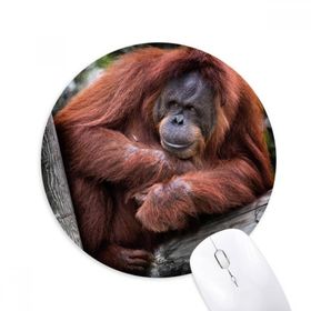 Dıythinker Karasal Organizma Vahşi Hayvan Orang-utan Baskılı Yuvarlak Kaymaz Kauçuk Mouse Pad
