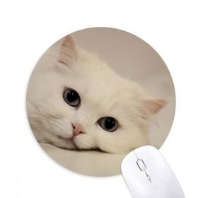 Dıythinker Kedi Beyaz Kedi Evcil Hayvan Hayvan Rahatlatıcı Baskılı Yuvarlak Kaymaz Kauçuk Mouse Pad